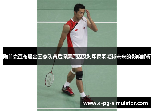 陶菲克宣布退出国家队背后深层原因及对印尼羽毛球未来的影响解析