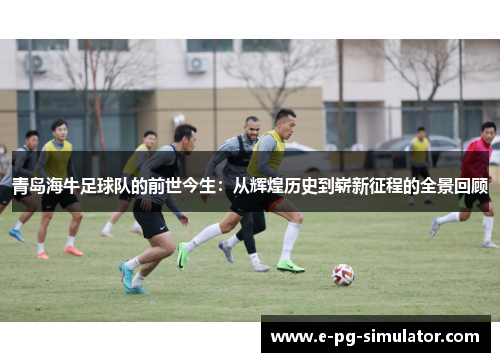 青岛海牛足球队的前世今生：从辉煌历史到崭新征程的全景回顾
